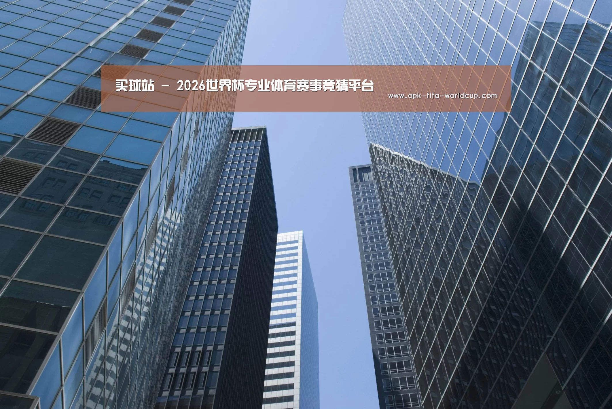 买球站公司简介 